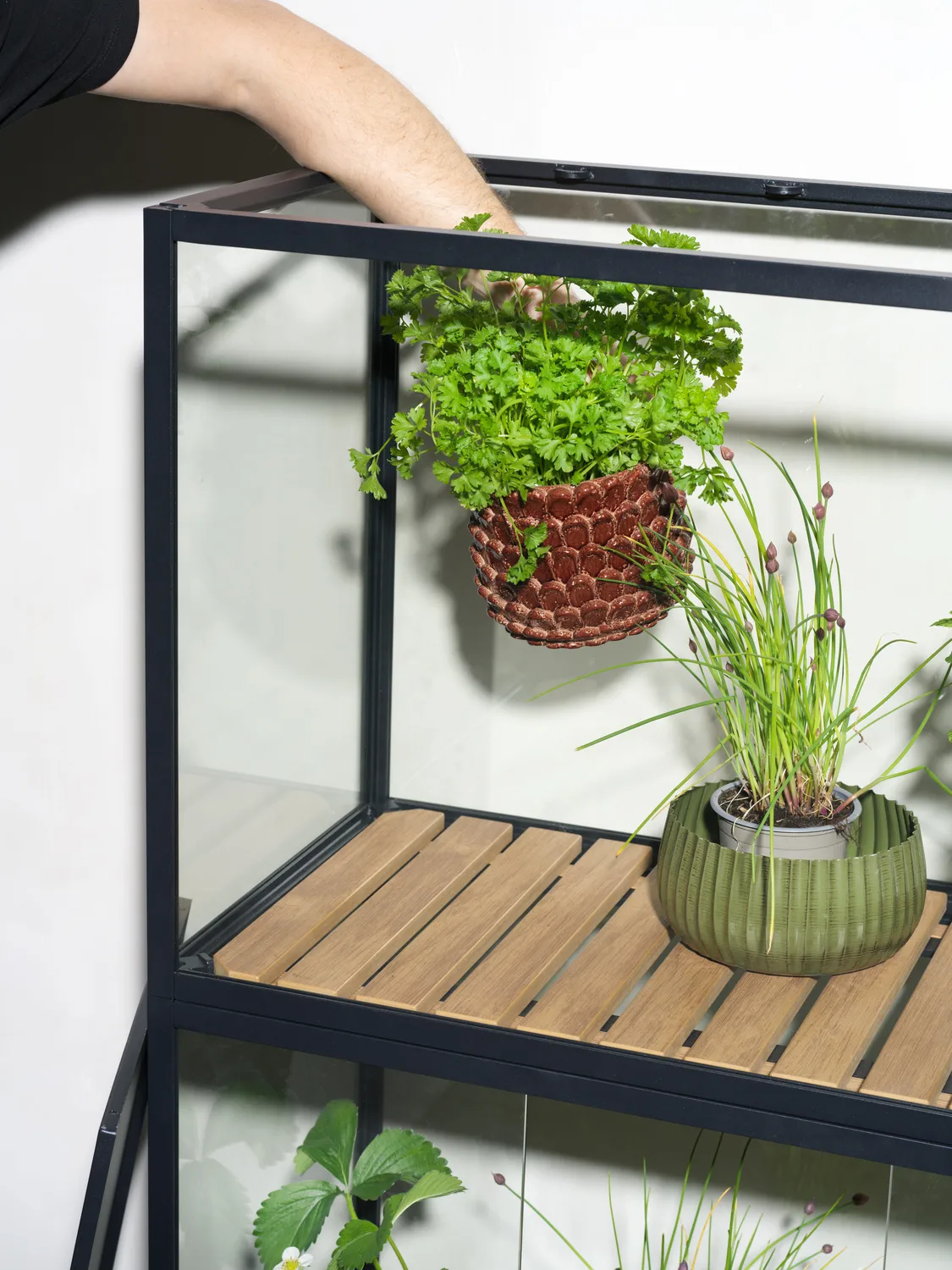 Grower Greens växtskåp, Svart, 81x137 cm Brafab