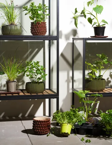 Grower Greens växtskåp - Svart, 81x82 cm - Brafab