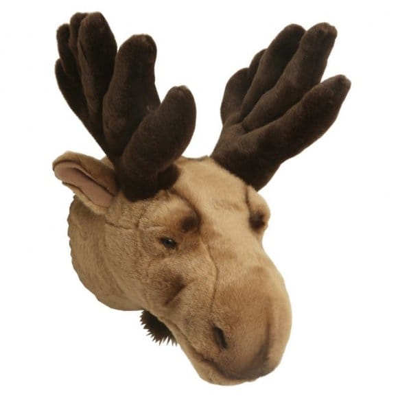 Älghuvud för vägg, älg Brigbys