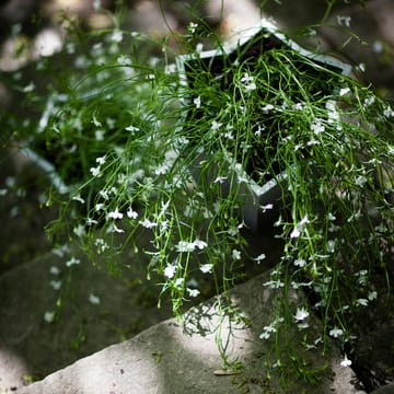 Stjärnkruka kruka - Aluminium, hög Ø30 cm - Byarums bruk