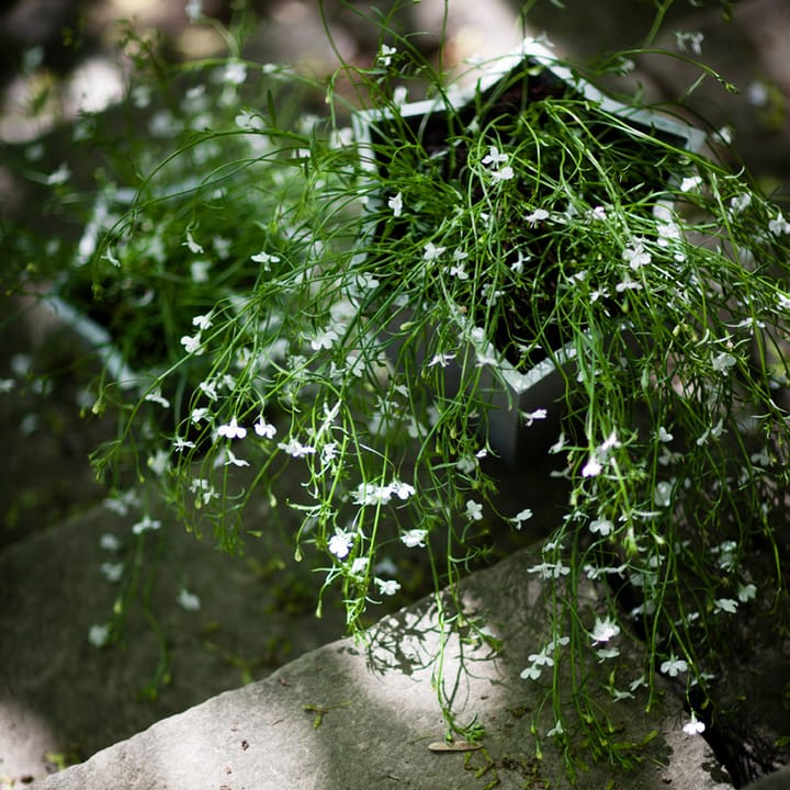 Stjärnkruka kruka - Aluminium, hög Ø30 cm - Byarums bruk