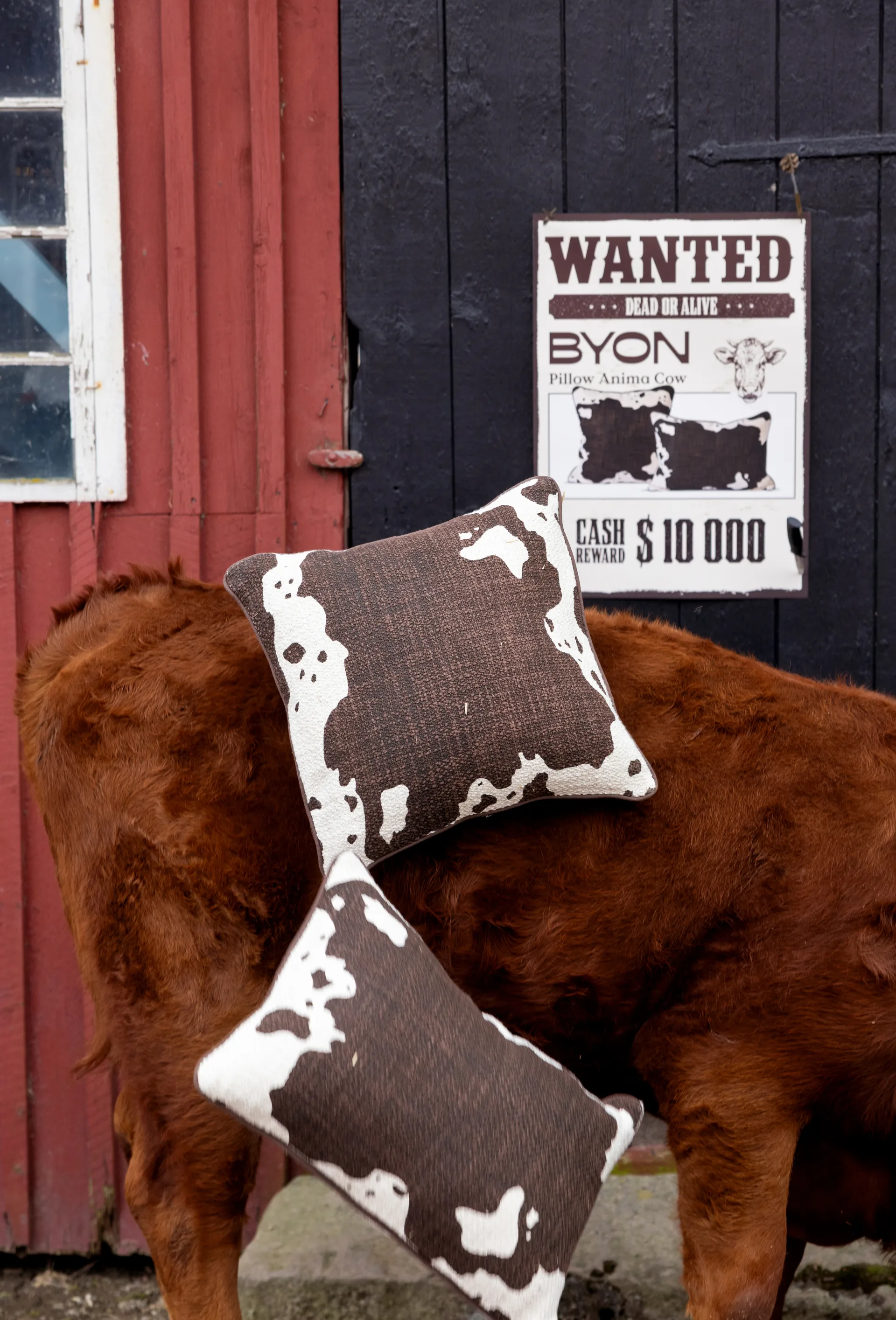 Anima kudde L 40x60 cm, Cow Byon