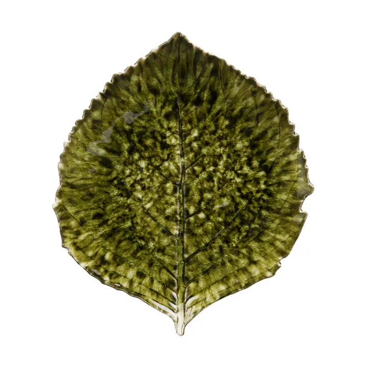 Riviera Hydrangea fat - Forest, 22 cm - Costa Nova