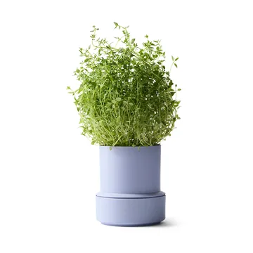 Billund självbevattnande örtkruka - Lavender - Crushgrind