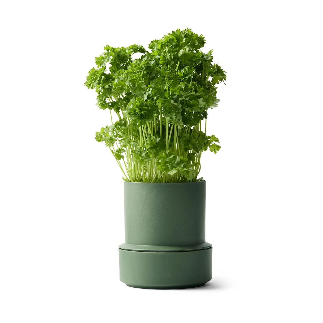 Billund självbevattnande örtkruka, Parsley Crushgrind