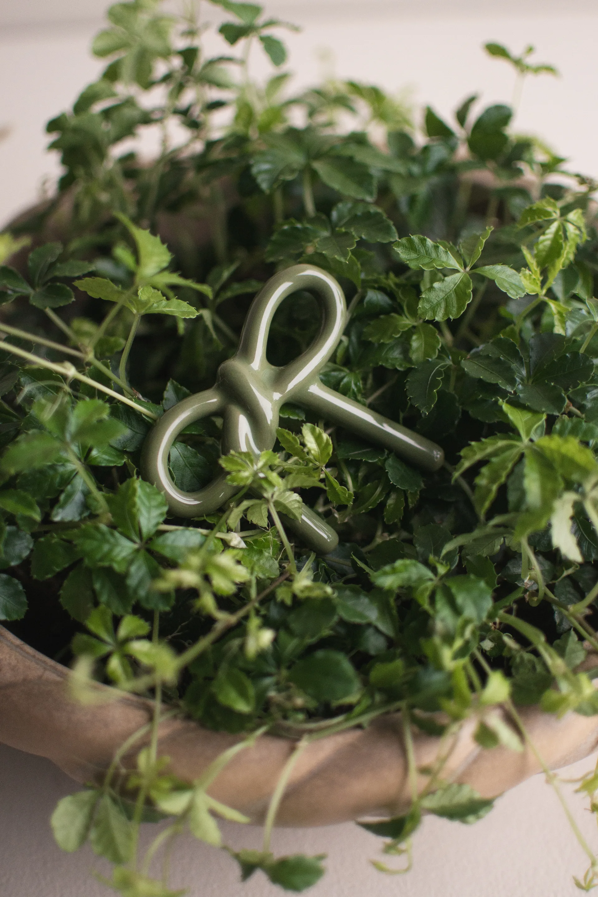 Bow blomdekoration, Shiny green DBKD