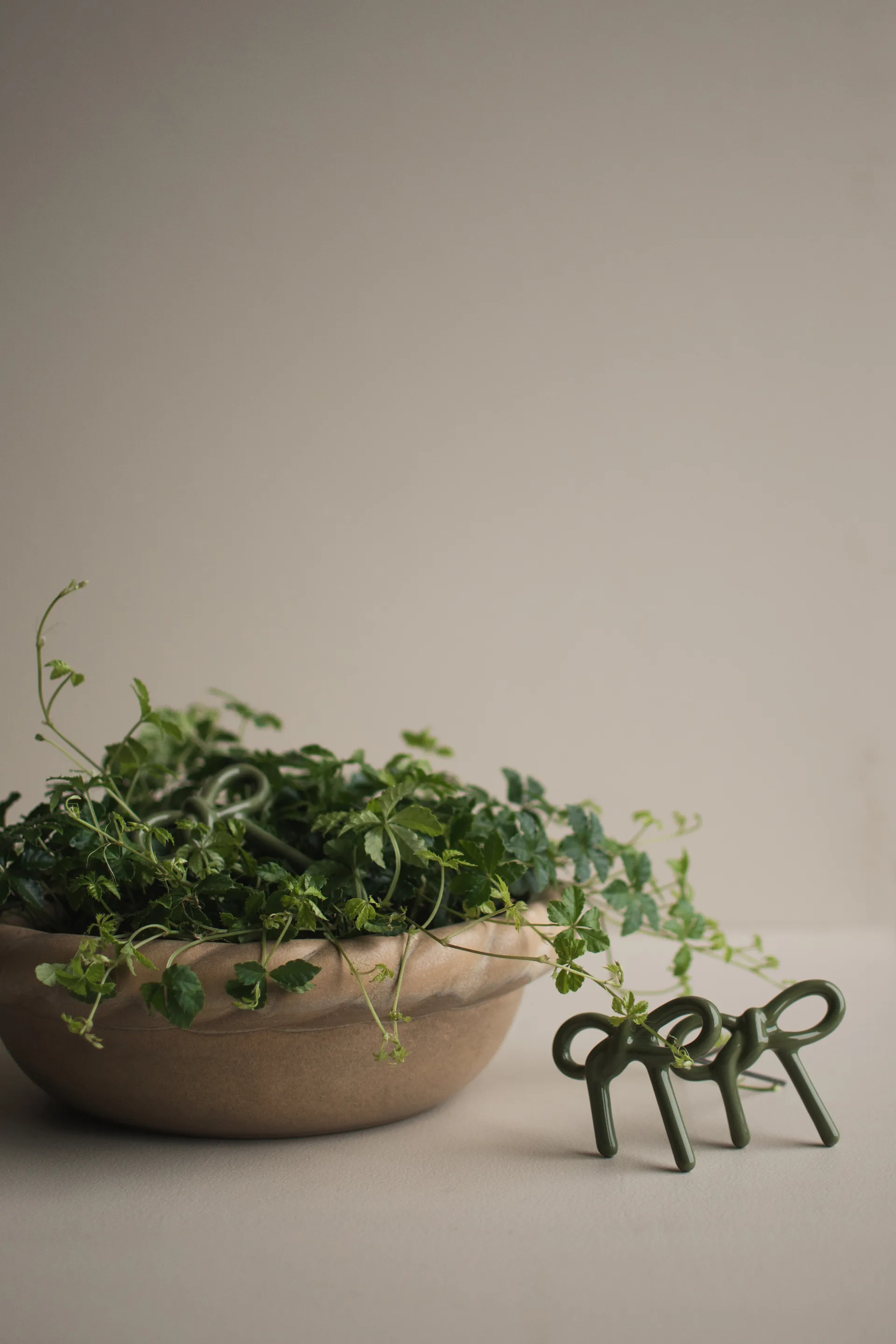 Bow blomdekoration, Shiny green DBKD