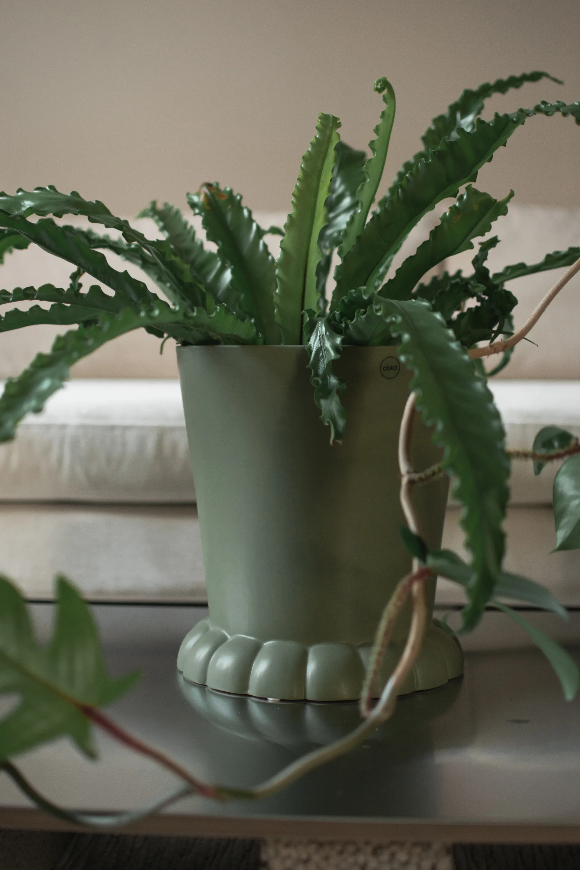 Flora kruka Ø25 cm, Green DBKD