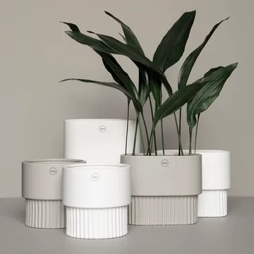 Front kruka oval hög - White - DBKD