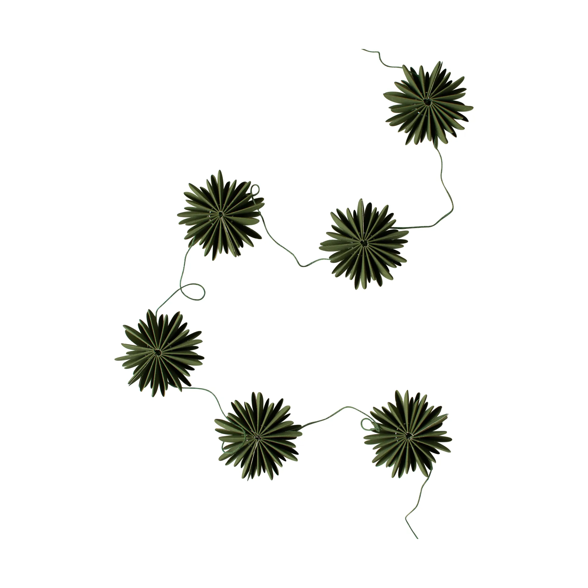 Garland girlang flinga, Green DBKD