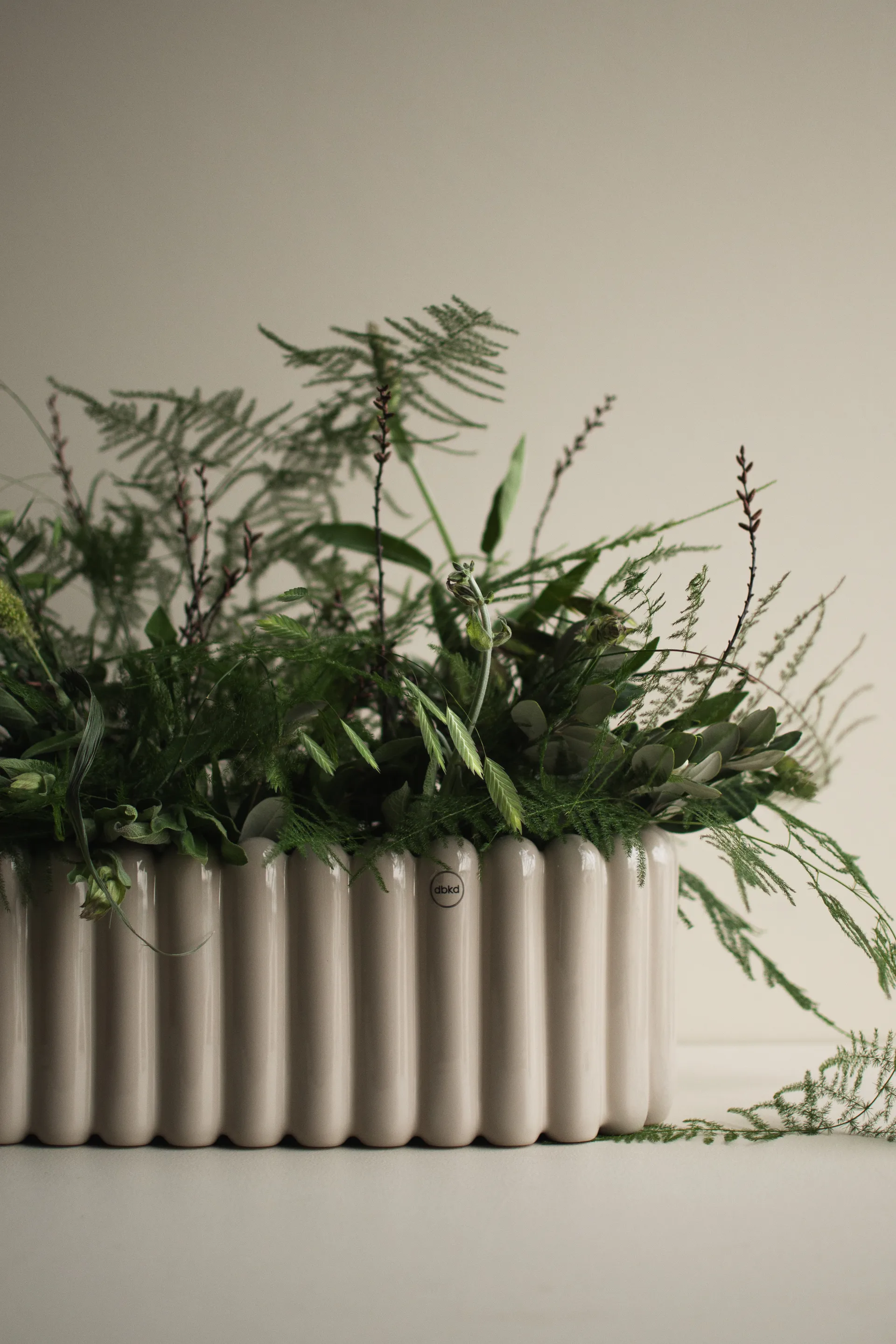 Mist kruka oval, Shiny mole DBKD