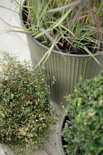 Out stripe kruka 3 delar - Green - DBKD