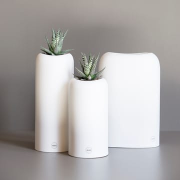 Pile vas - Stor - DBKD