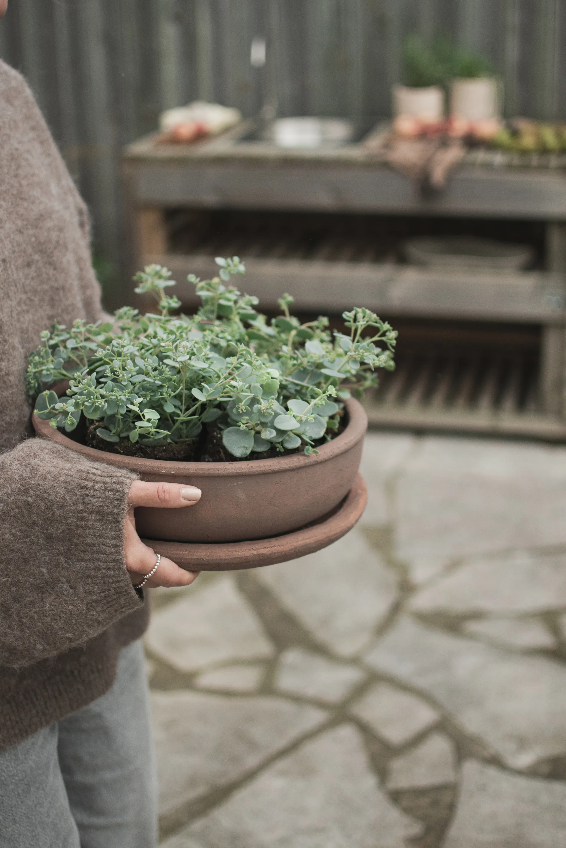 Terra bowl kruka, Brown, Ø30x10,5 cm DBKD
