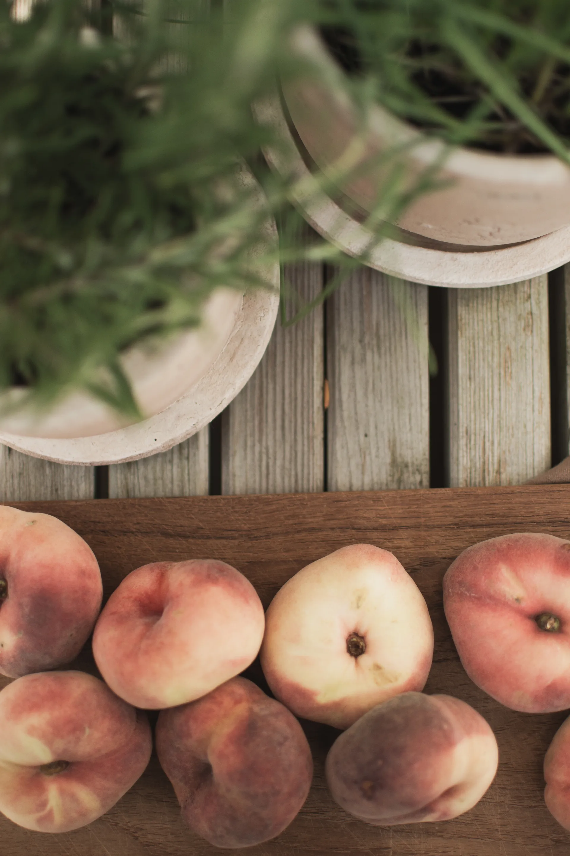 Terra kruka, Sand, Ø16x16 cm DBKD