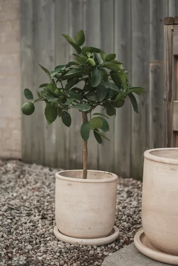 Terra kruka - Sand, Ø23x26 cm - DBKD