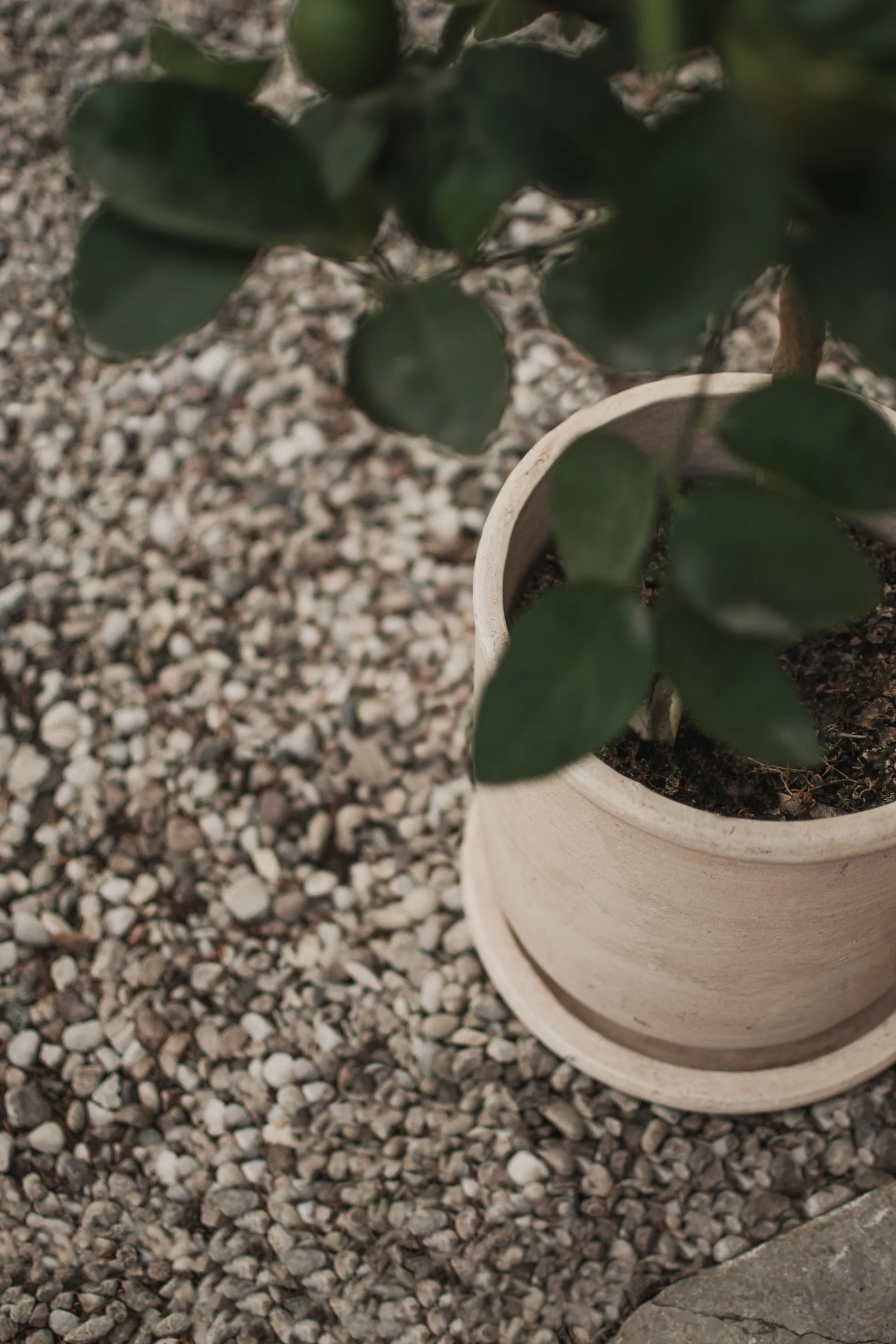 Terra kruka, Sand, Ø23x26 cm DBKD