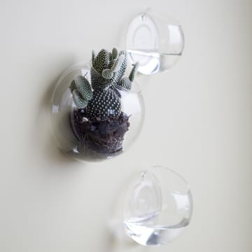 Wall glass väggvas - Liten - DBKD
