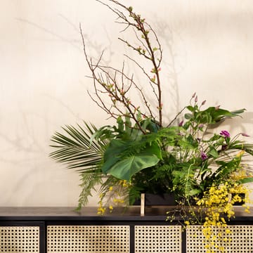 Botanic Flower Tray blomsterbricka - svart - Design House Stockholm