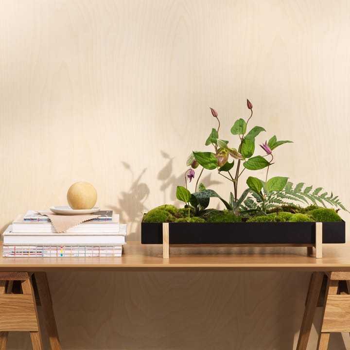 Botanic Flower Tray blomsterbricka, svart Design House Stockholm
