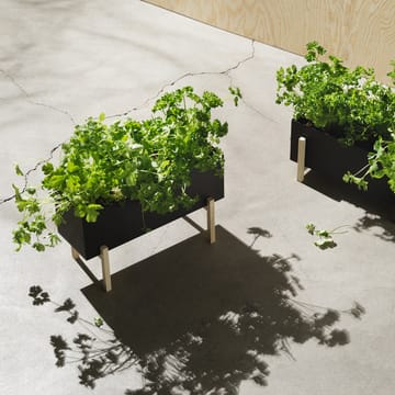 Botanic herb box - Svart-ask - Design House Stockholm