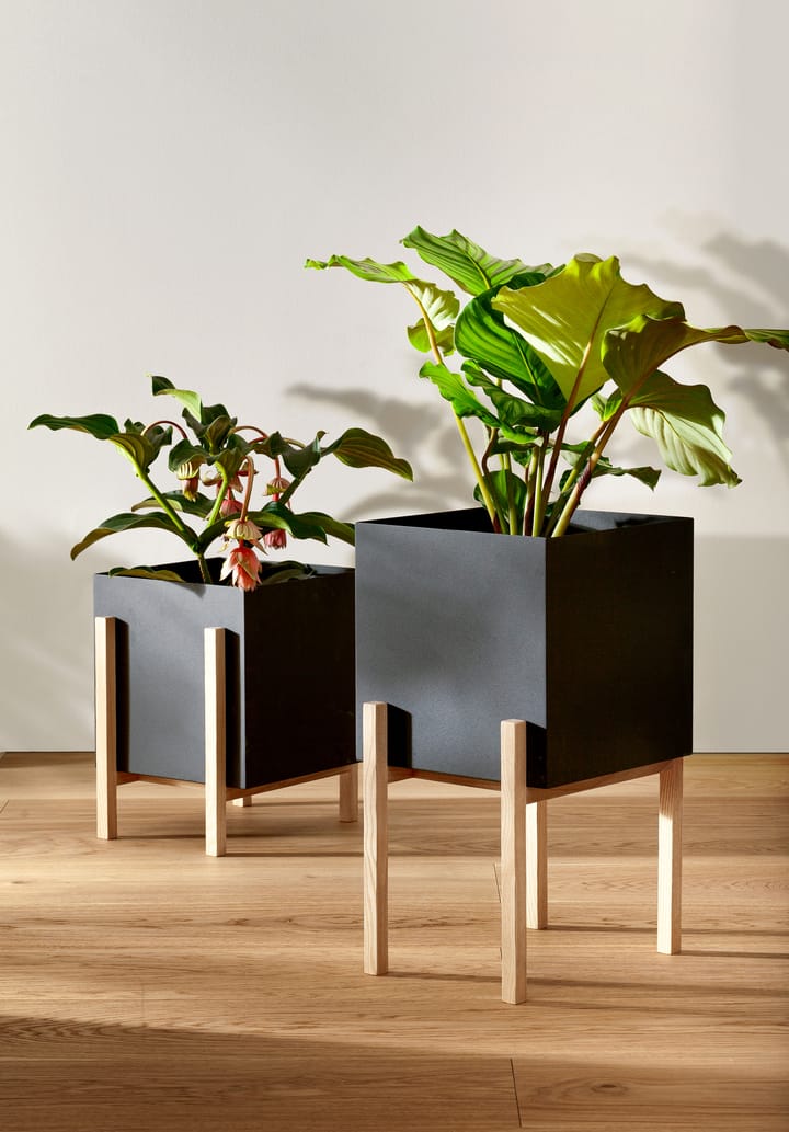 Botanic pedestal kruka - Svart-ask - Design House Stockholm