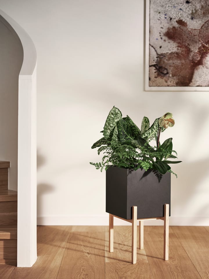 Botanic pedestal kruka - Svart-ask - Design House Stockholm