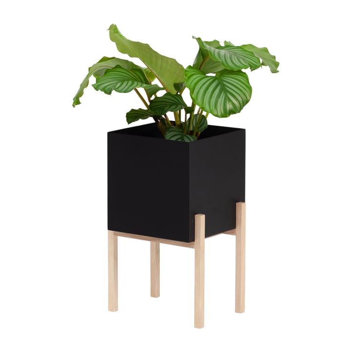 Botanic pedestal kruka - Svart-ask - Design House Stockholm