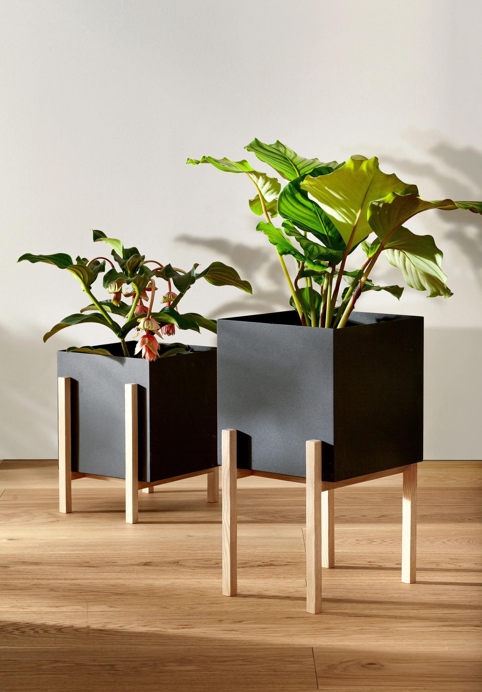 Botanic pot kruka, Svart-ask Design House Stockholm
