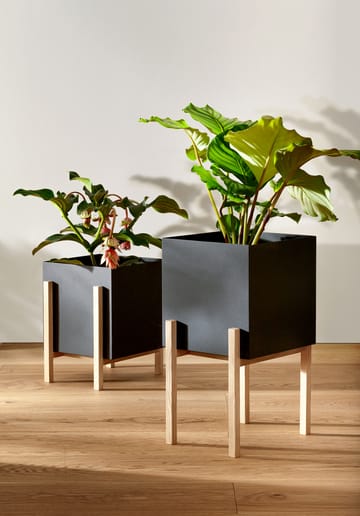 Botanic pot kruka - Svart-ask - Design House Stockholm