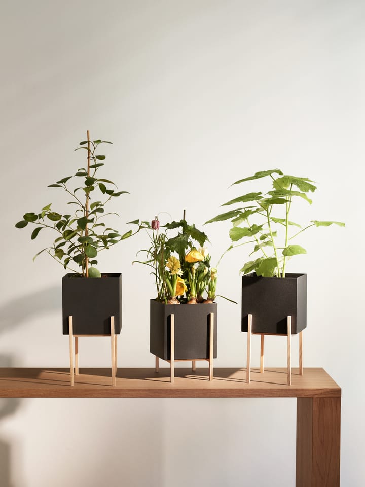 Botanic pot kruka, Svart-ask Design House Stockholm