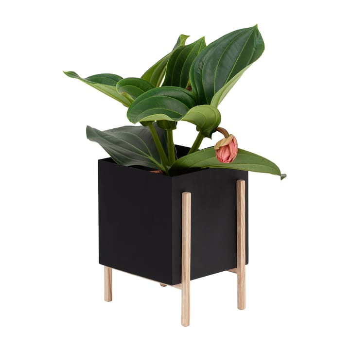 Botanic pot kruka - Svart-ask - Design House Stockholm