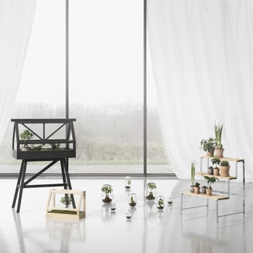 Greenhouse mini växthus - ask - Design House Stockholm