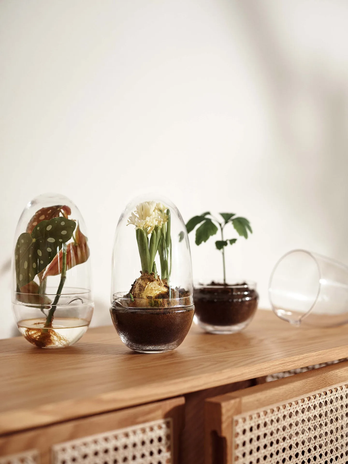 Grow odlingskupa, Medium Ø11 cm Design House Stockholm
