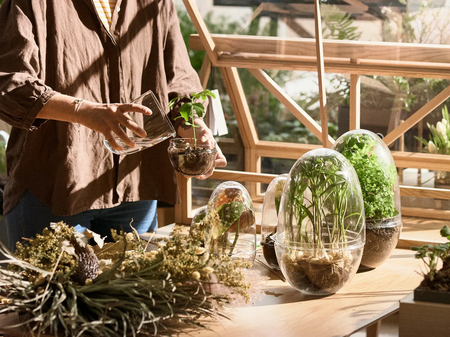 Grow odlingskupa, Medium Ø11 cm Design House Stockholm