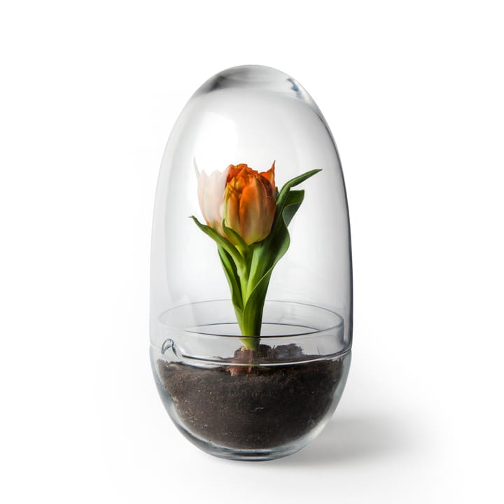 Grow odlingskupa - Medium - Design House Stockholm