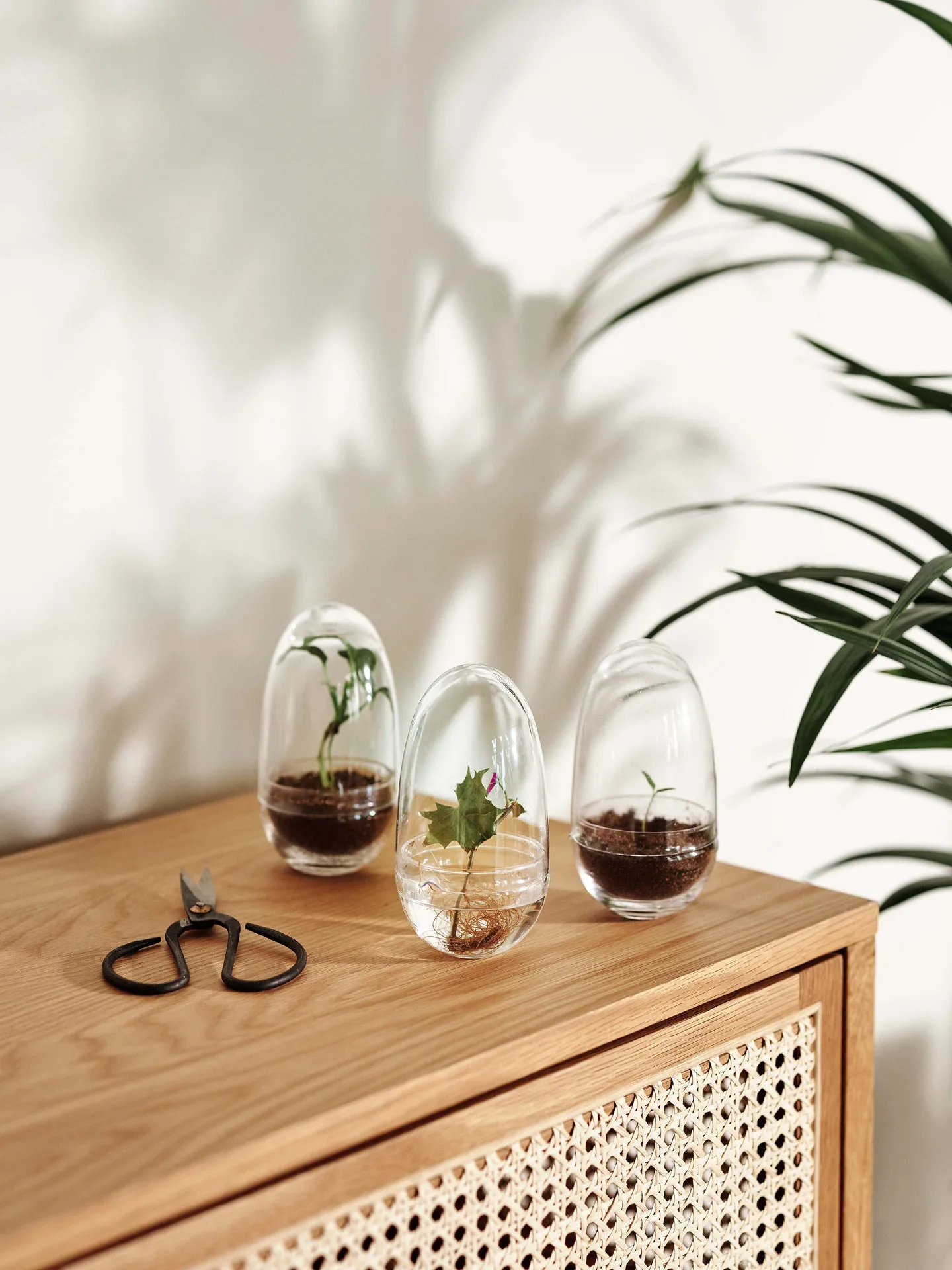 Grow odlingskupa, small Ø8 cm Design House Stockholm