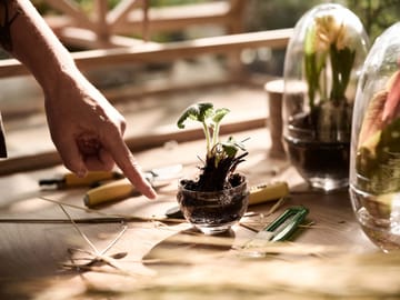 Grow odlingskupa - small Ø8 cm - Design House Stockholm