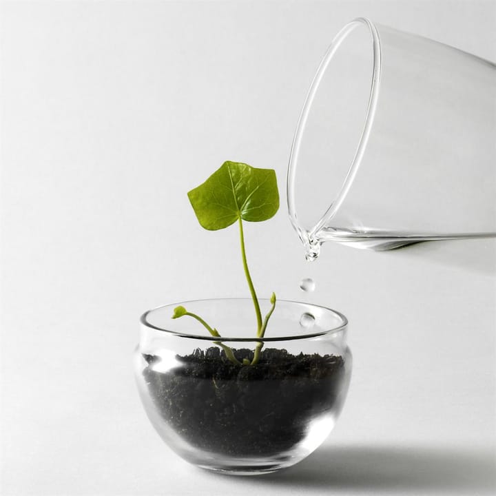 Grow odlingskupa - small Ø8 cm - Design House Stockholm