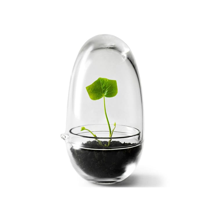 Grow odlingskupa - small - Design House Stockholm