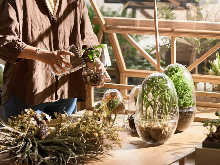 Grow odlingskupa, x-large Ø20 cm Design House Stockholm