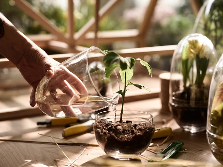 Grow odlingskupa, x-large Ø20 cm Design House Stockholm