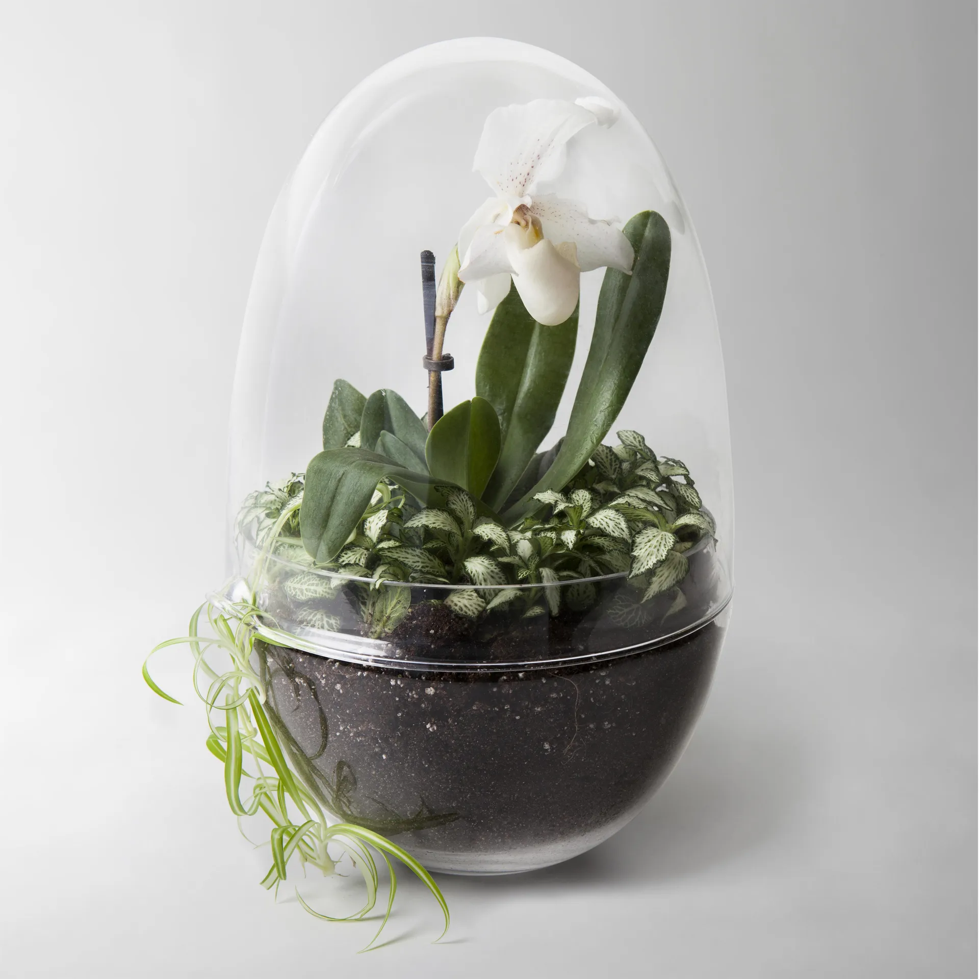 Grow odlingskupa, x-large Ø20 cm Design House Stockholm