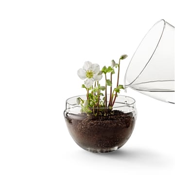 Grow odlingskupa - x-large - Design House Stockholm