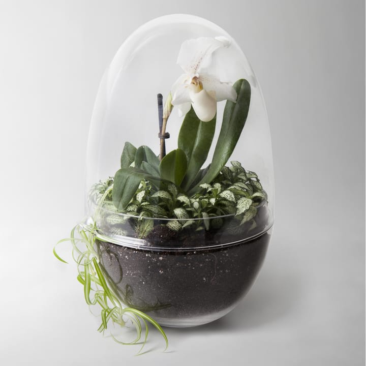 Grow odlingskupa - x-large - Design House Stockholm