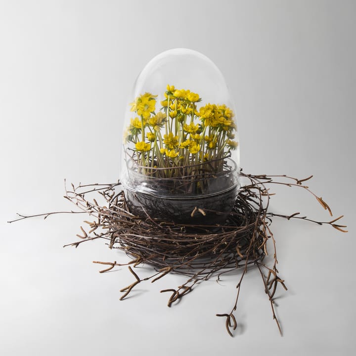Grow odlingskupa - x-large - Design House Stockholm