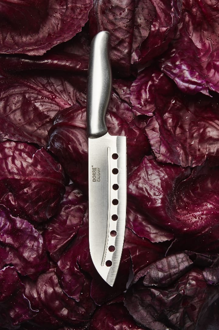 Calgary knivset 5 delar - Rostfritt stål - Dorre