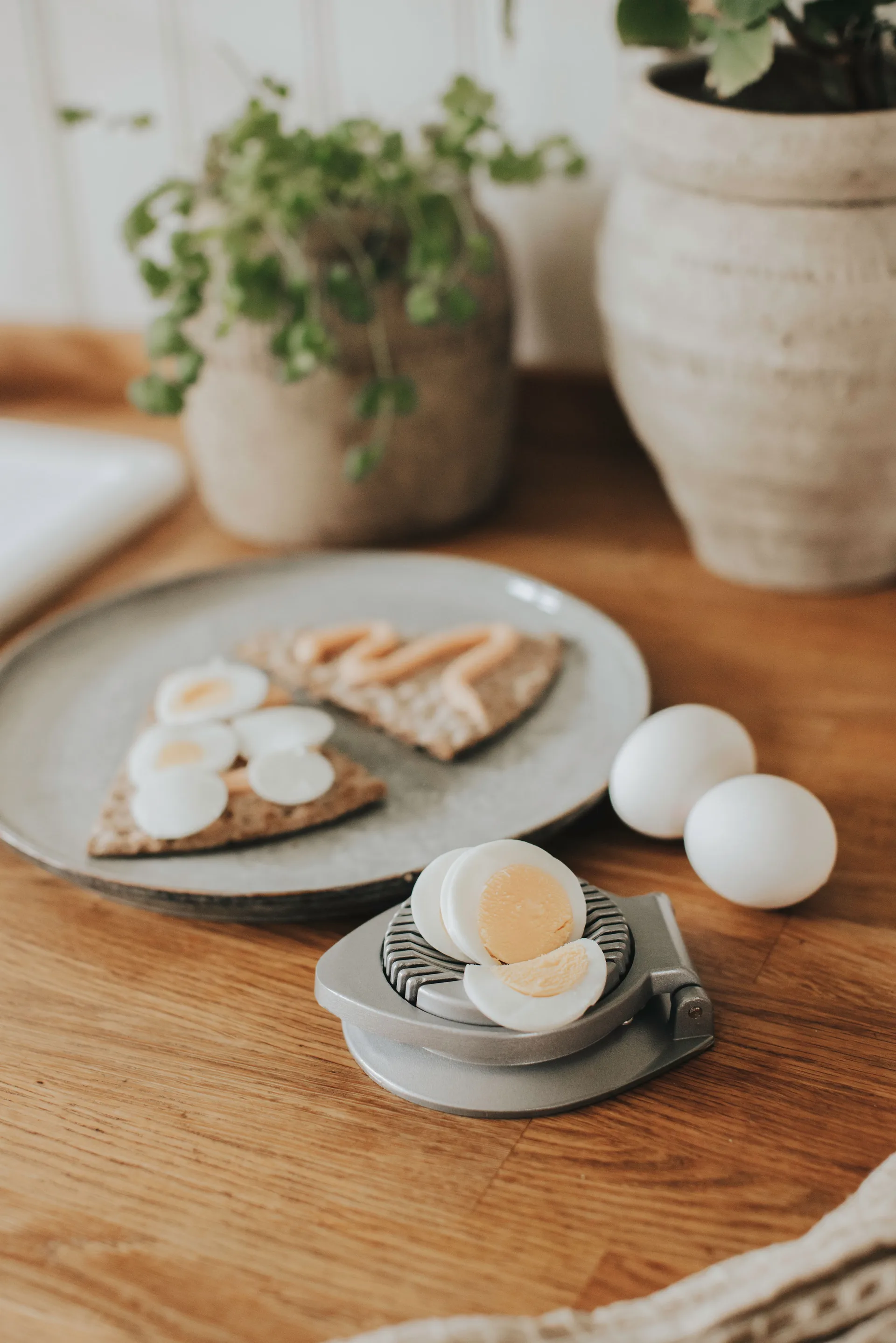 Ellis äggskivare, Aluminium Dorre