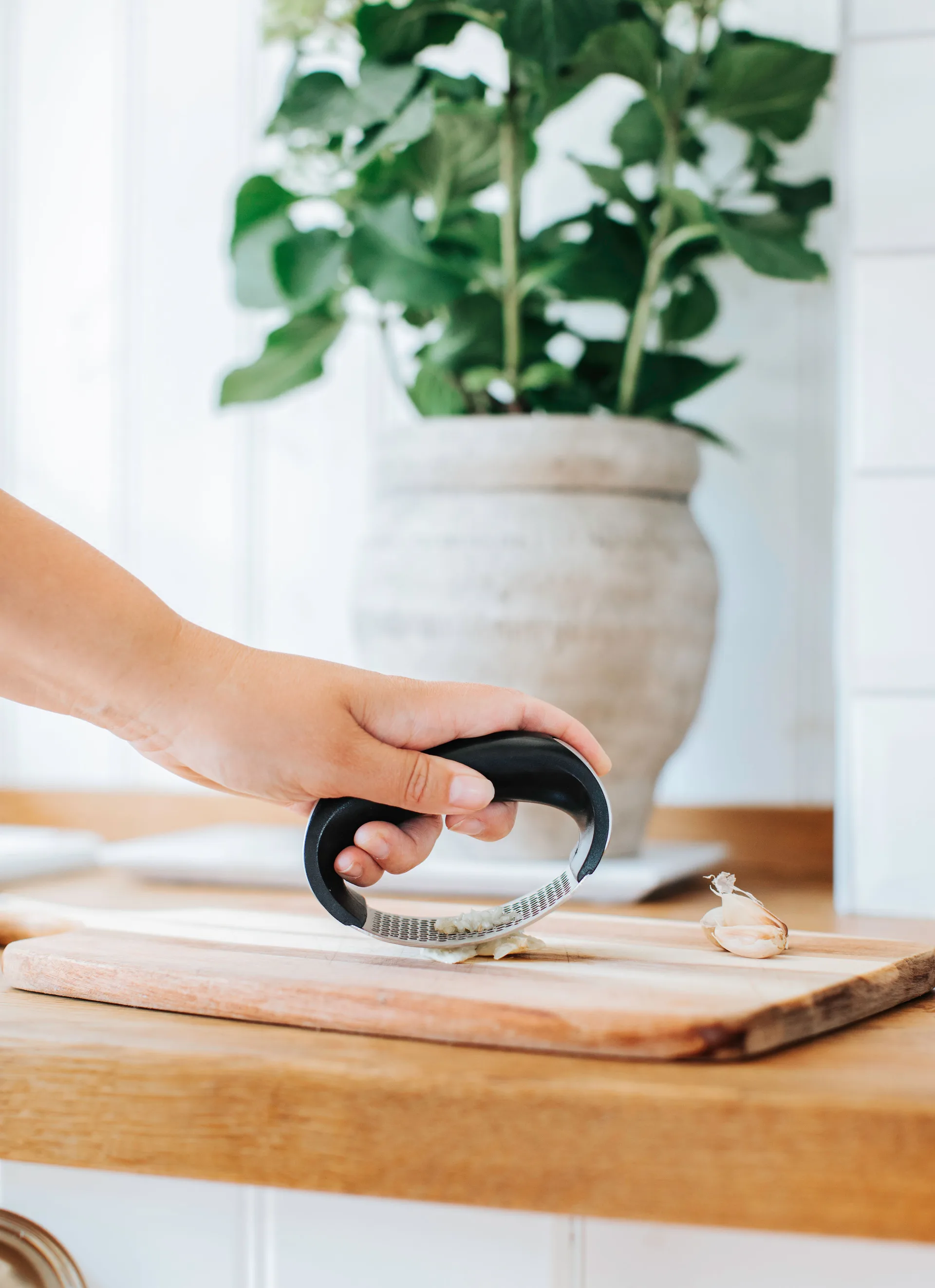 Garli vitlökspress, Rostfritt stål Dorre