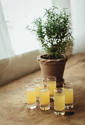 Saba snapsglas - Raka, 6-pack, 6 cl - Dorre